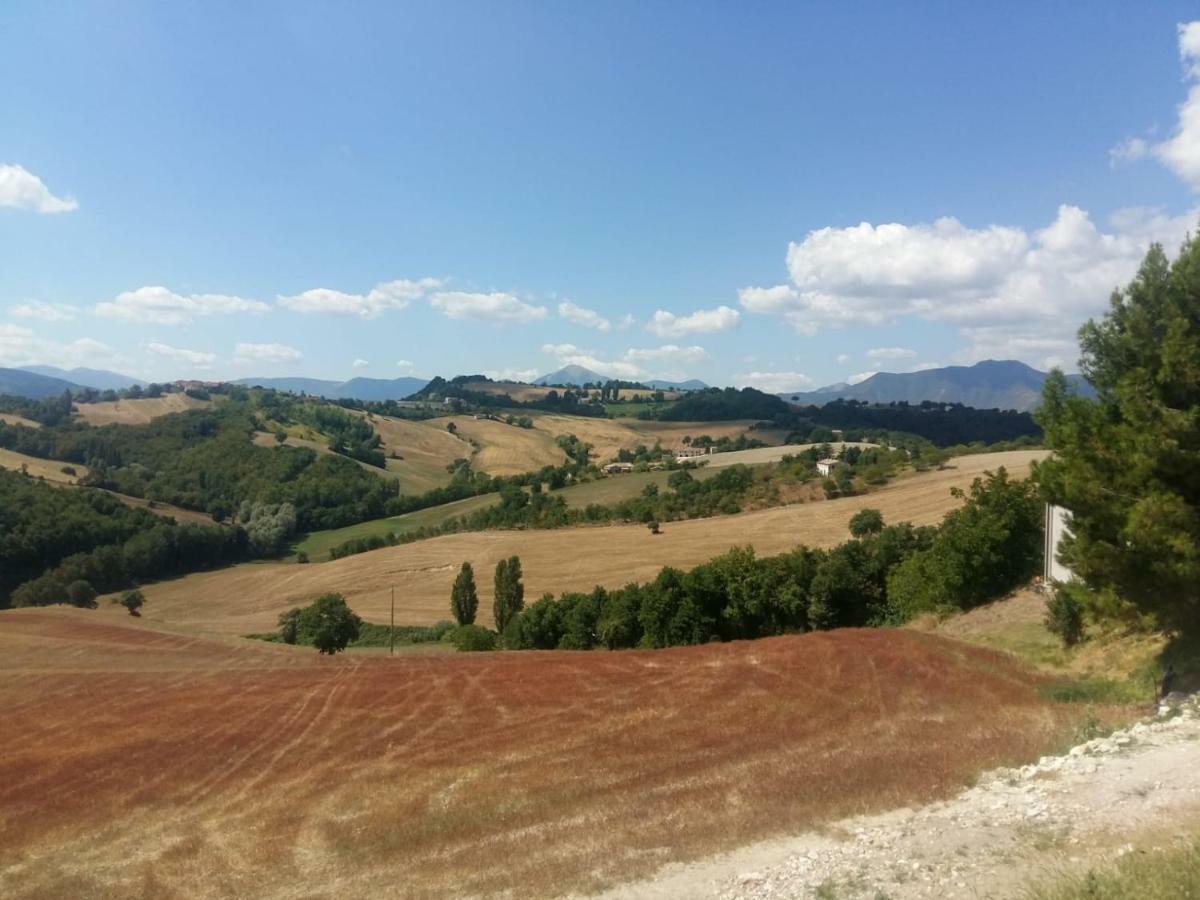 Вилла La Cerqua Арчевиа Экстерьер фото